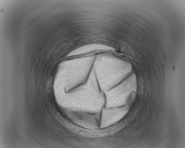 X0000086290034200704271813