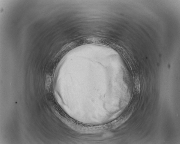 X0000086290036200704271813