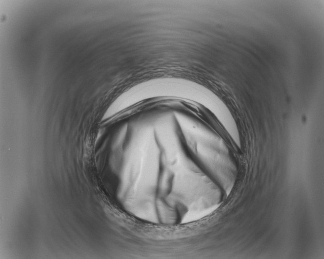 X0000086290037200704271813