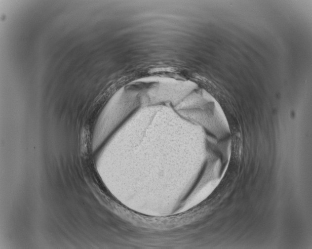 X0000086290038200704271813