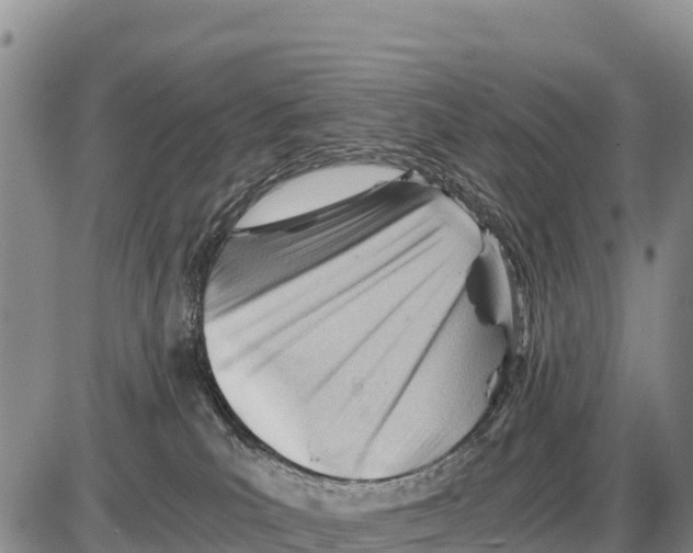 X0000086290039200704271813