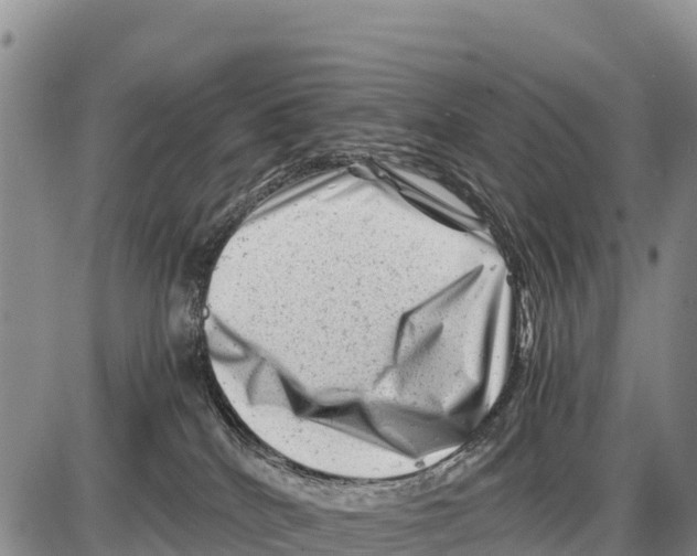 X0000086290040200704271813