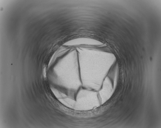 X0000086290042200704271813
