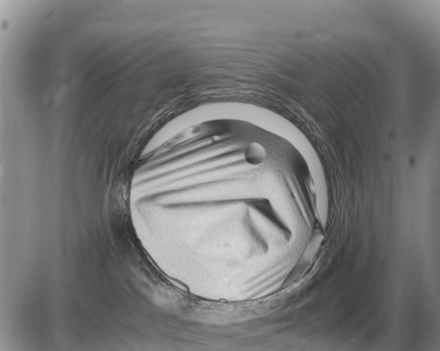 X0000086290045200704271813