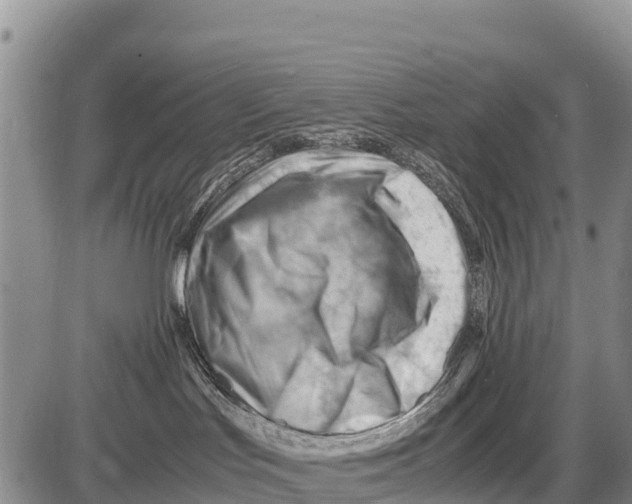 X0000086290047200704271813