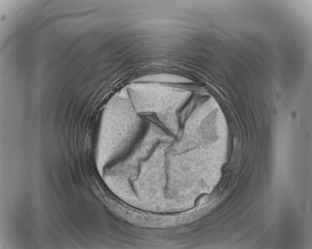 X0000086290048200704271813