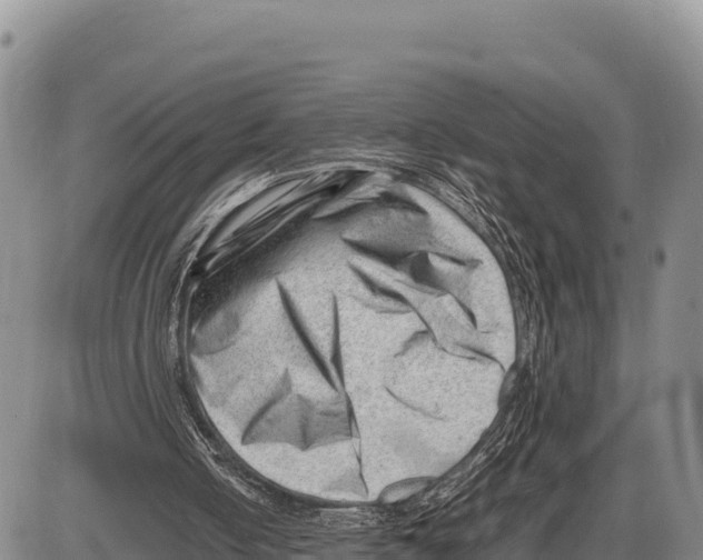 X0000086290050200704271812