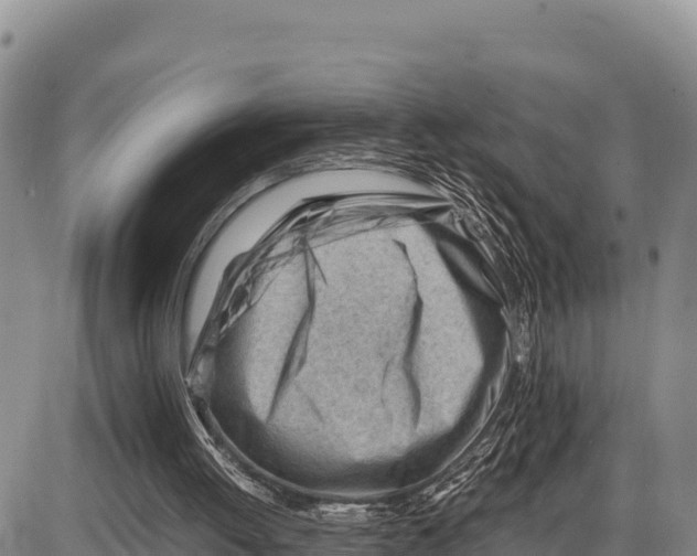 X0000086290052200704271812