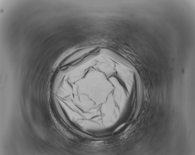 X0000086290054200704271812