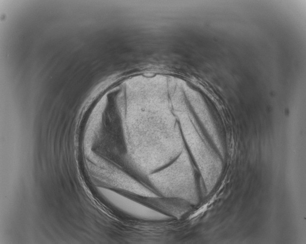 X0000086290055200704271812