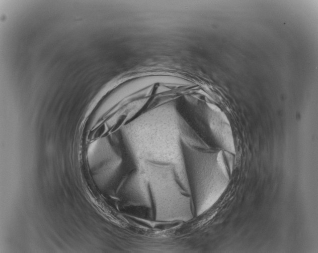 X0000086290056200704271812