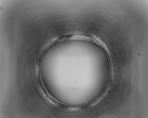 X0000086290057200704271812
