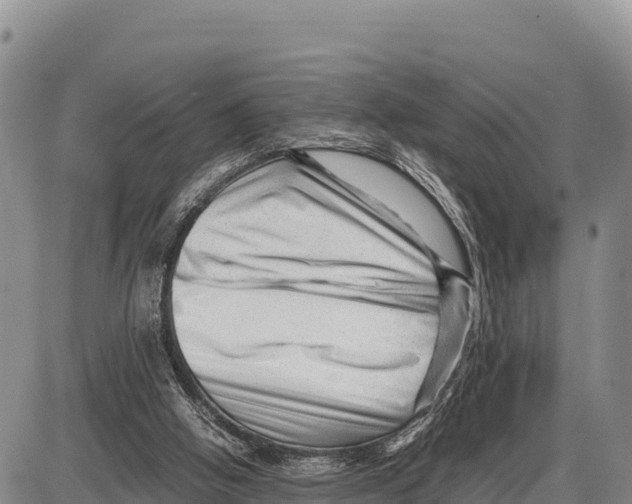 X0000086290058200704271812