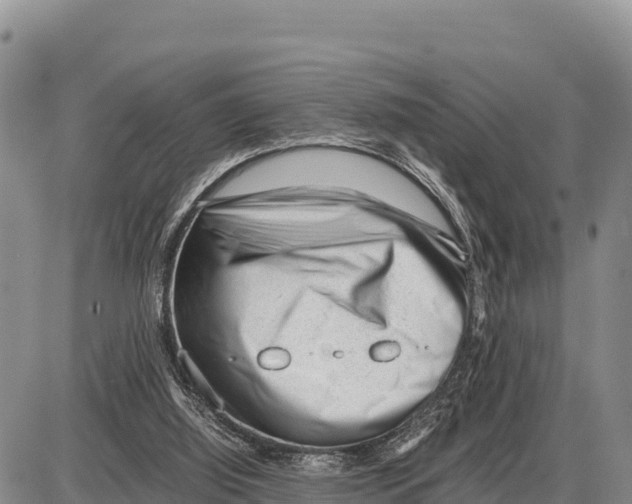 X0000086290060200704271812