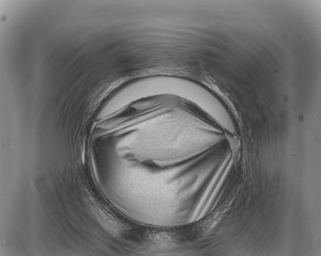 X0000086290062200704271812