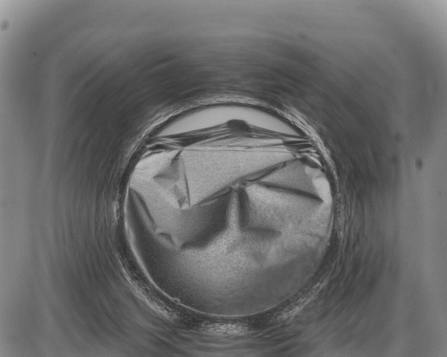 X0000086290063200704271812