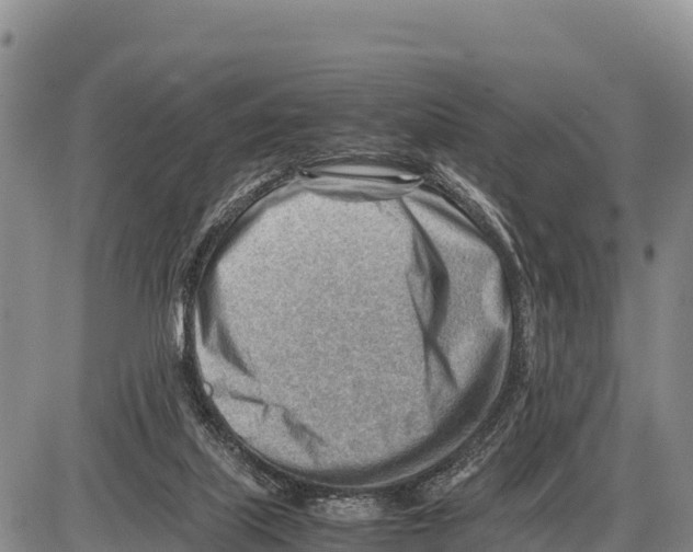 X0000086290067200704271812