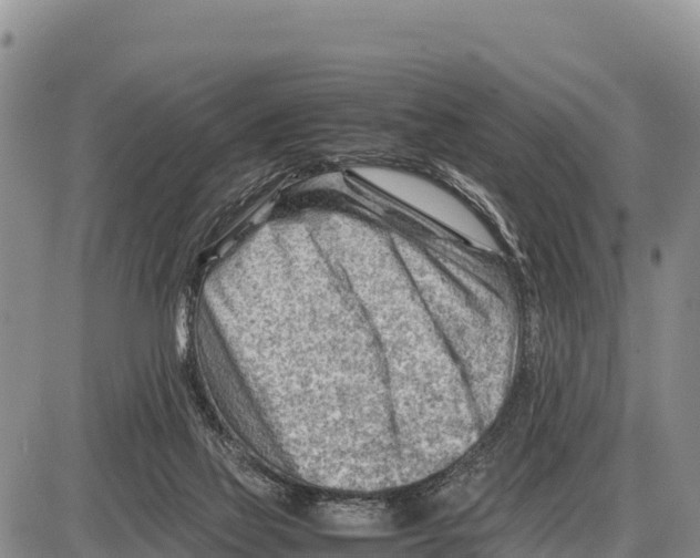 X0000086290069200704271812
