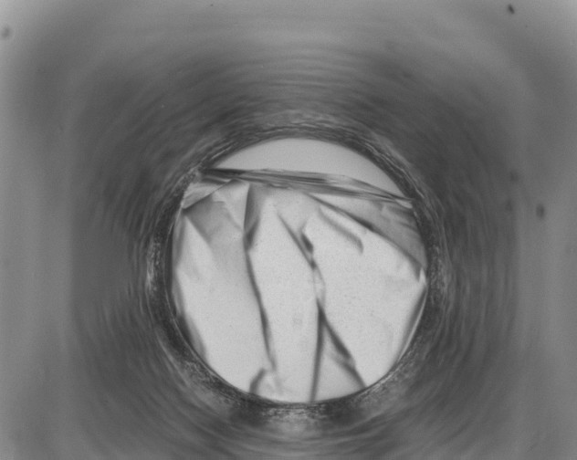 X0000086290074200704271812