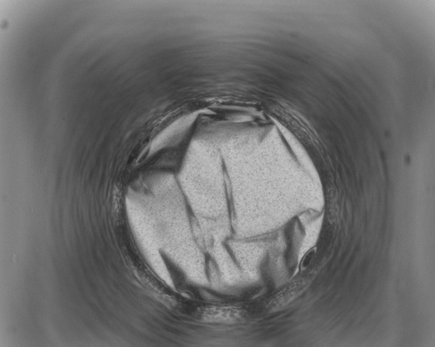 X0000086290077200704271812