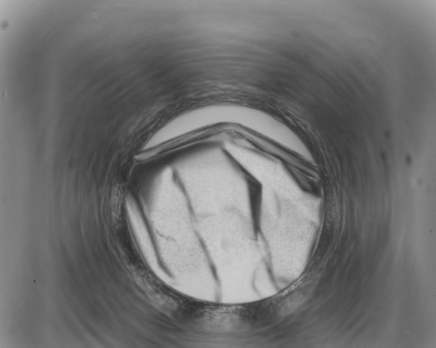 X0000086290078200704271812
