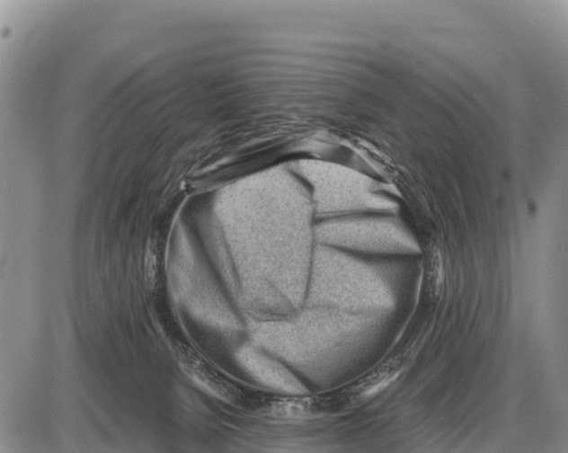 X0000086290080200704271813