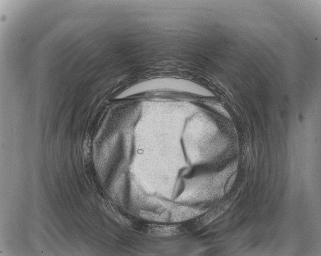 X0000086290081200704271813