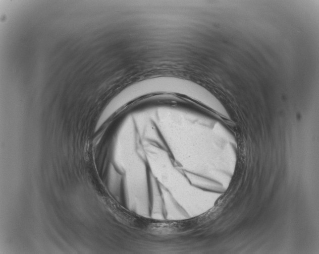 X0000086290082200704271813
