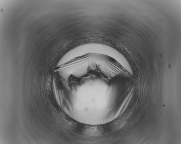 X0000086290083200704271813