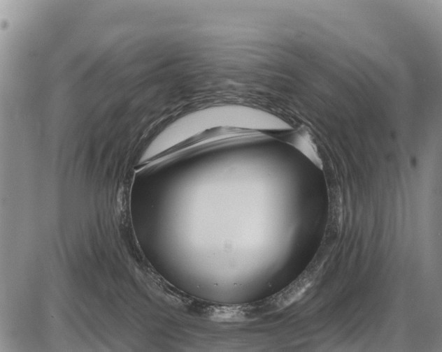 X0000086290088200704271813