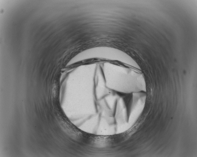 X0000086290090200704271813