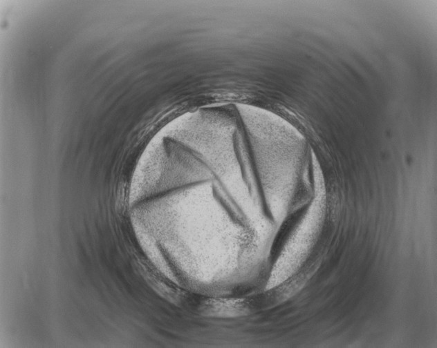 X0000086290093200704271813