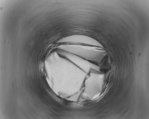 X0000086290094200704271813