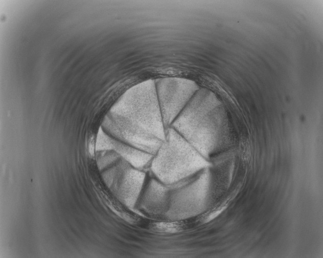 X0000086290095200704271813
