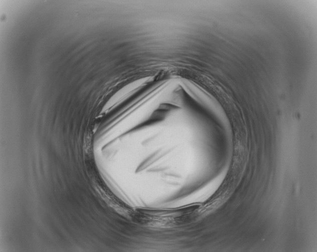 X0000086290096200704271813