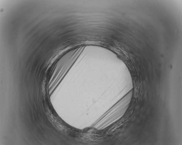 X0000086290098200704271812