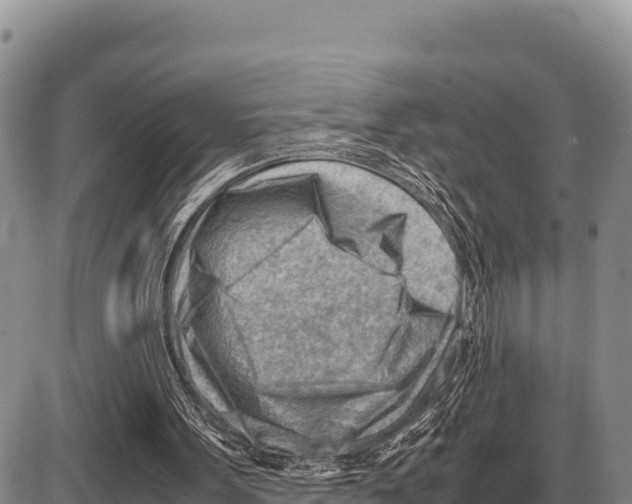 X0000086290099200704271812