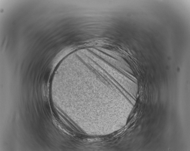 X0000086290100200704271812