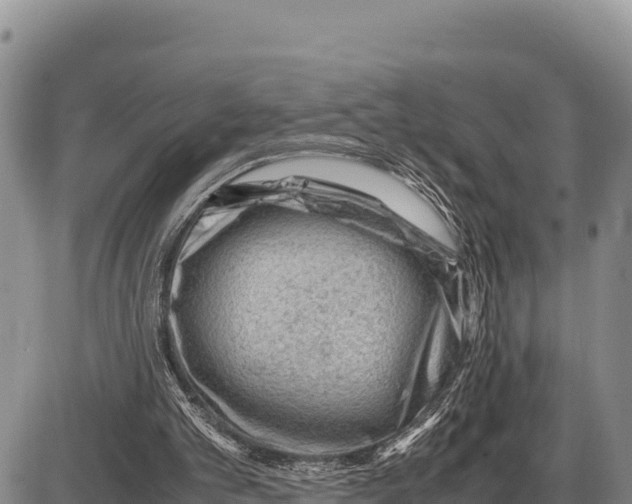 X0000086290101200704271812