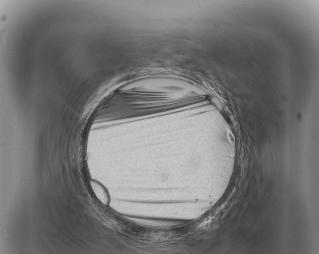 X0000086290103200704271812
