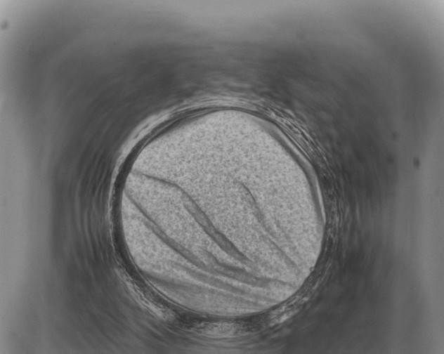 X0000086290104200704271812