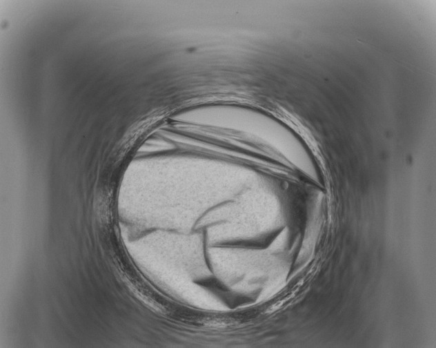 X0000086290105200704271812