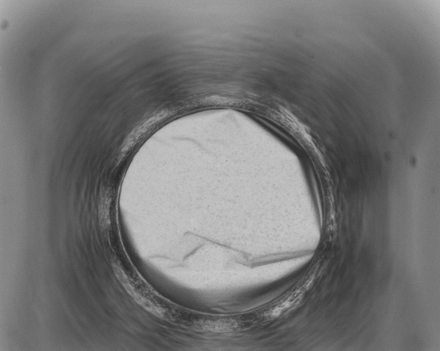 X0000086290106200704271812