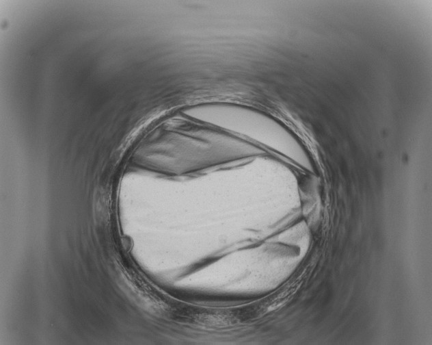 X0000086290107200704271812