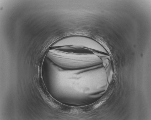 X0000086290109200704271812