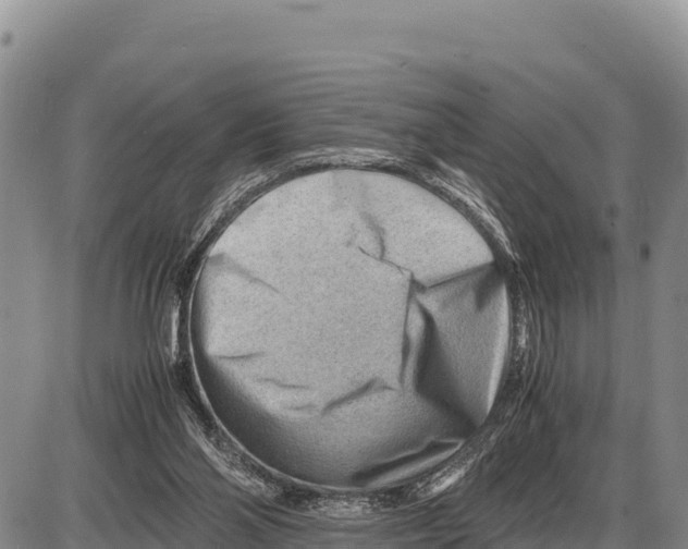 X0000086290110200704271812