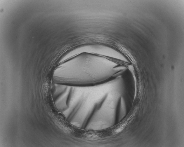 X0000086290113200704271812