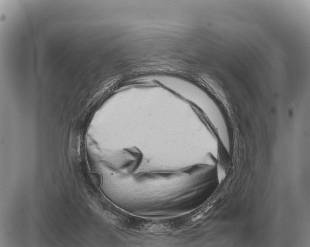 X0000086290115200704271812