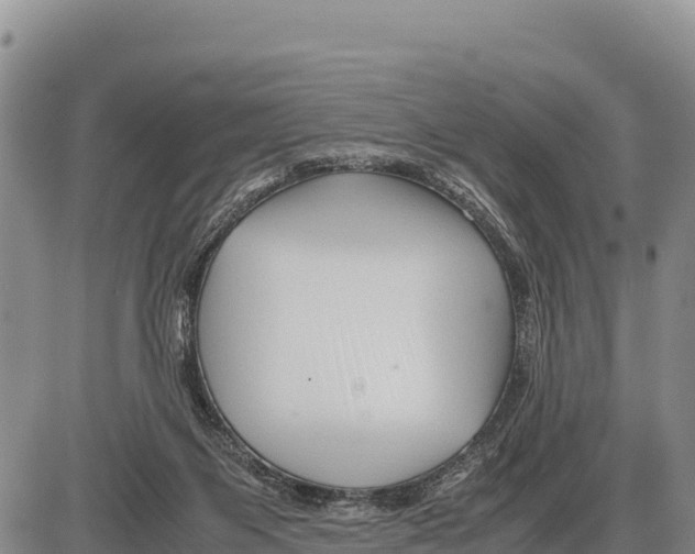 X0000086290119200704271812