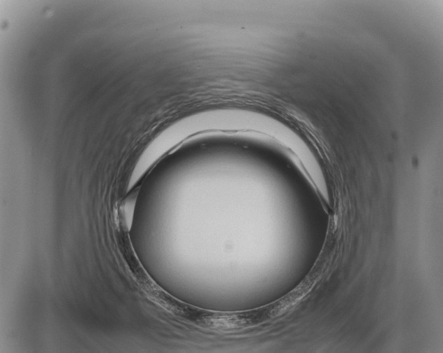 X0000086290121200704271812